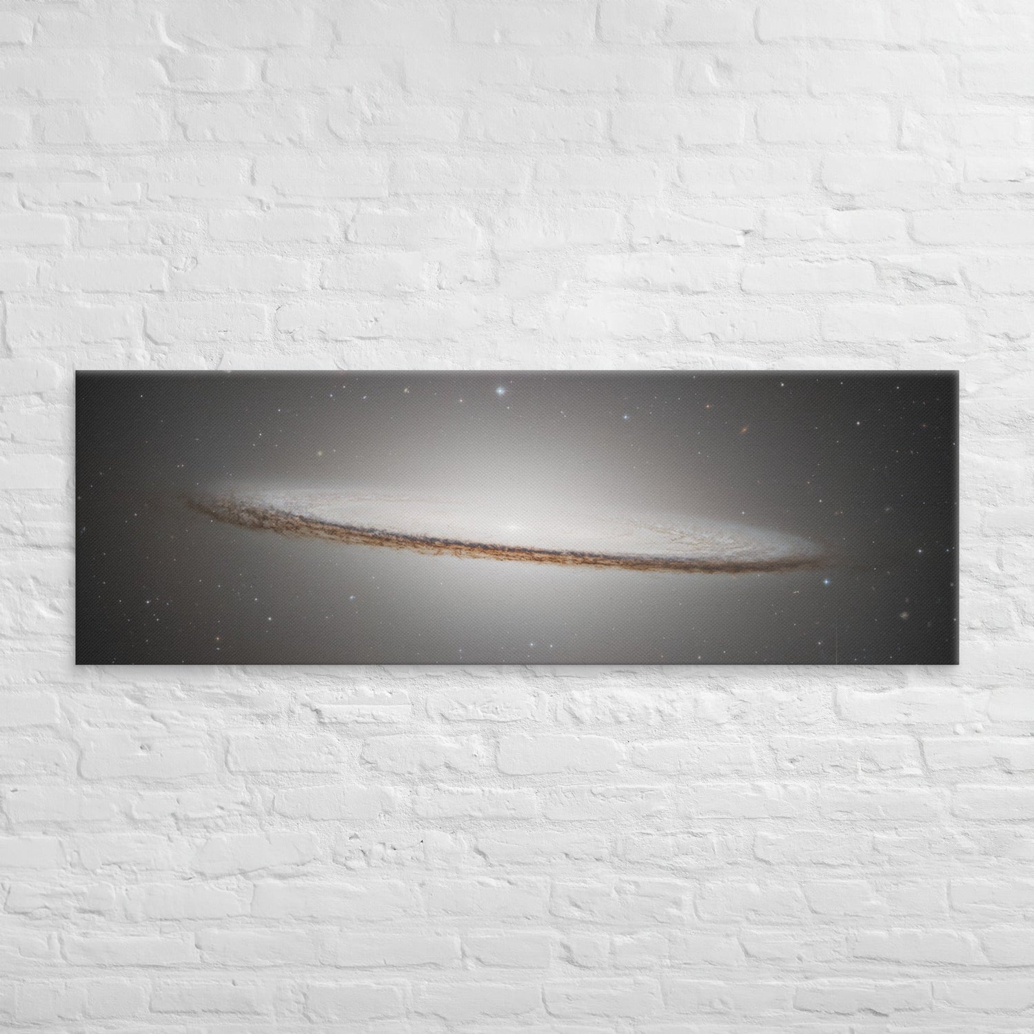 Canvas Prints